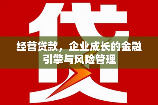 汝阳经营贷款，企业成长的金融引擎与风险管理